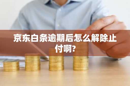 京东白条逾期后怎么解除止付啊?