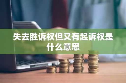 失去胜诉权但又有起诉权是什么意思