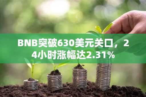 BNB突破630美元关口，24小时涨幅达2.31%
