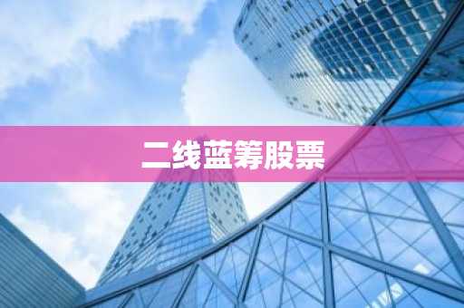 二线蓝筹股票