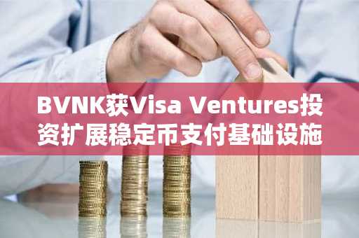 BVNK获Visa Ventures投资扩展稳定币支付基础设施