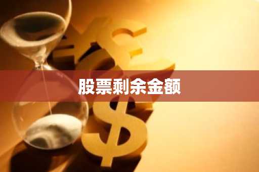 股票剩余金额
