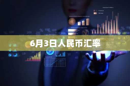 6月3日人民币汇率