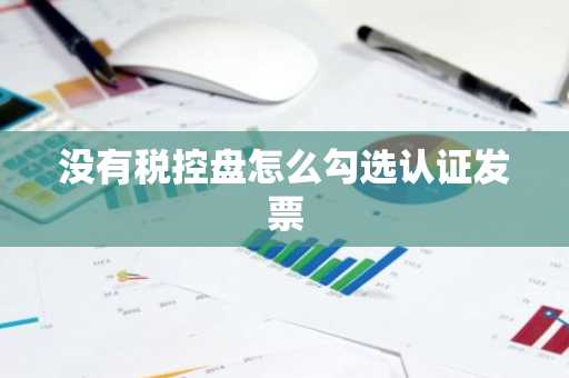 没有税控盘怎么勾选认证发票