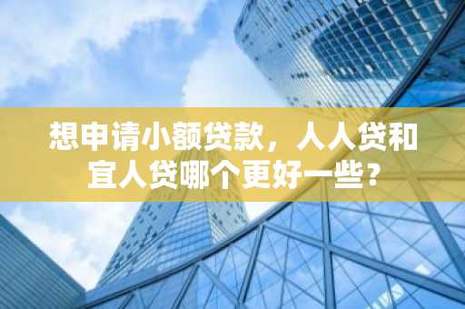 想申请小额贷款，人人贷和宜人贷哪个更好一些？
