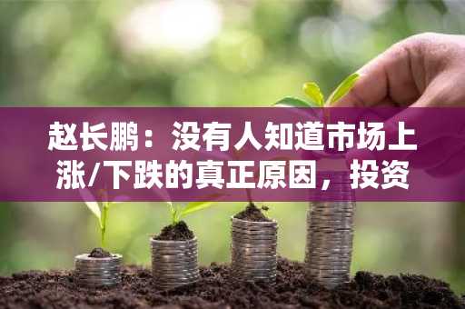 赵长鹏：没有人知道市场上涨/下跌的真正原因，投资者应理性看待