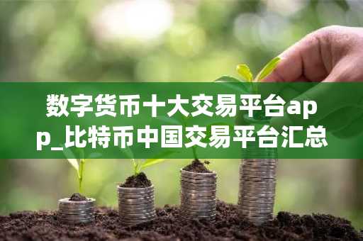 数字货币十大交易平台app_比特币中国交易平台汇总