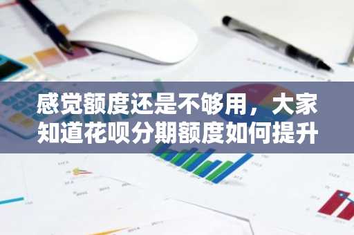 感觉额度还是不够用，大家知道花呗分期额度如何提升吗？