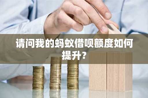 请问我的蚂蚁借呗额度如何提升？