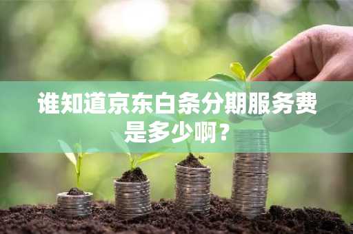 谁知道京东白条分期服务费是多少啊？