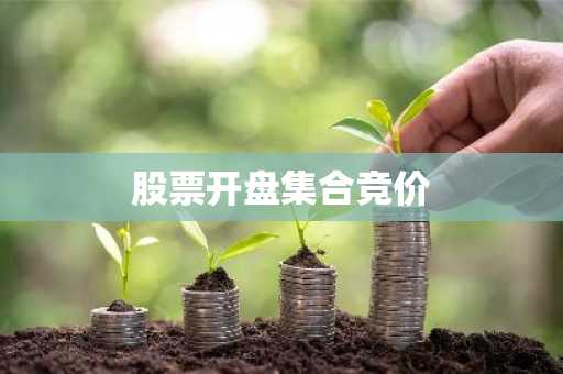 股票开盘集合竞价
