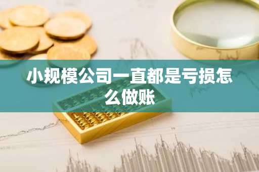 小规模公司一直都是亏损怎么做账