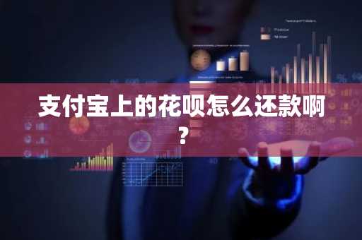 支付宝上的花呗怎么还款啊？