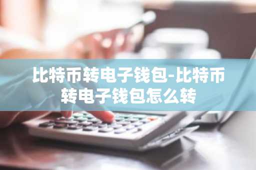 比特币转电子钱包-比特币转电子钱包怎么转