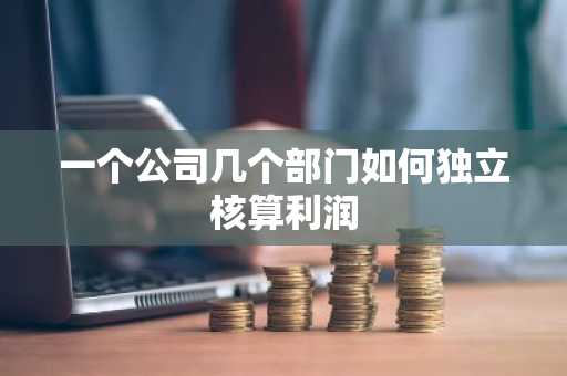 一个公司几个部门如何独立核算利润