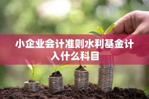 小企业会计准则水利基金计入什么科目