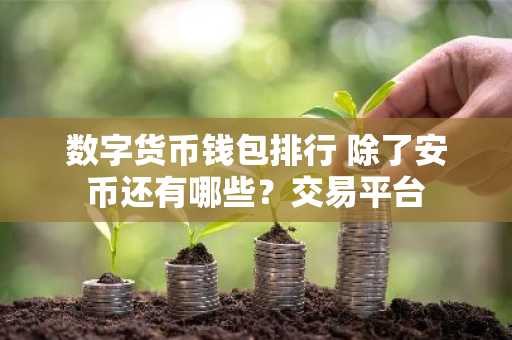 数字货币钱包排行 除了安币还有哪些？交易平台