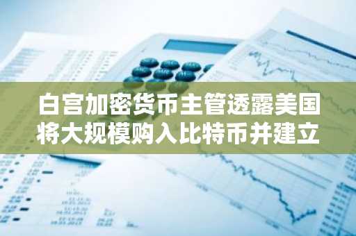 白宫加密货币主管透露美国将大规模购入比特币并建立战略储备