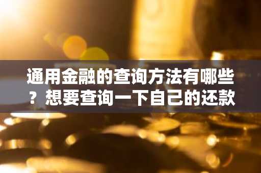 通用金融的查询方法有哪些？想要查询一下自己的还款是否正常。