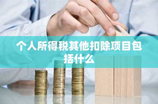 个人所得税其他扣除项目包括什么