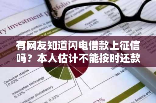 有网友知道闪电借款上征信吗？本人估计不能按时还款了。