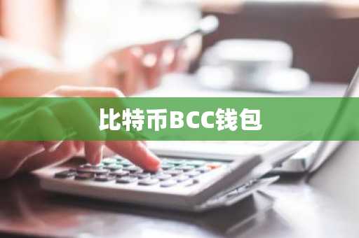 比特币BCC钱包