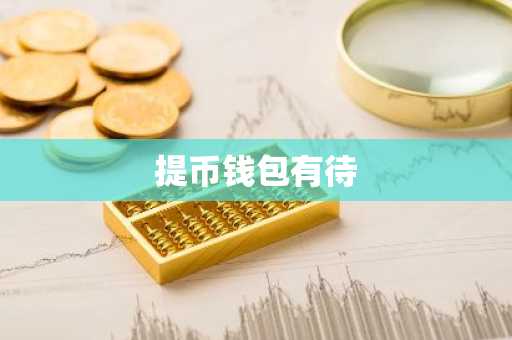 提币钱包有待