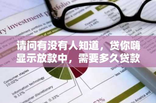 请问有没有人知道，贷你嗨显示放款中，需要多久贷款才能到账呢？