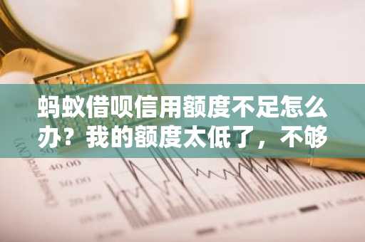 蚂蚁借呗信用额度不足怎么办？我的额度太低了，不够用。