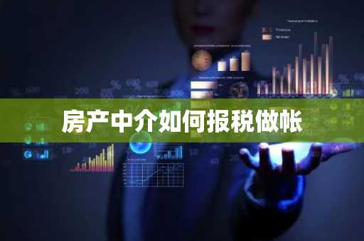 房产中介如何报税做帐