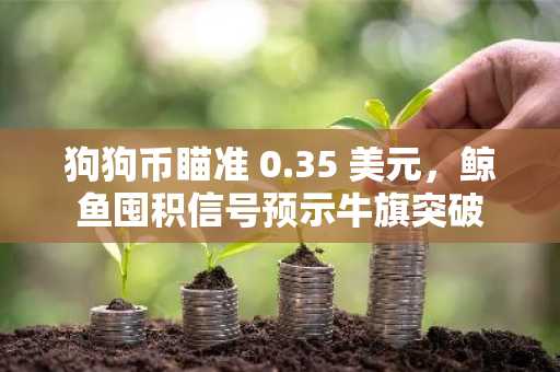 狗狗币瞄准 0.35 美元，鲸鱼囤积信号预示牛旗突破