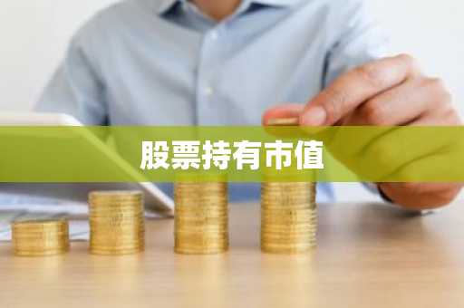 股票持有市值