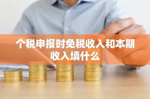 个税申报时免税收入和本期收入填什么