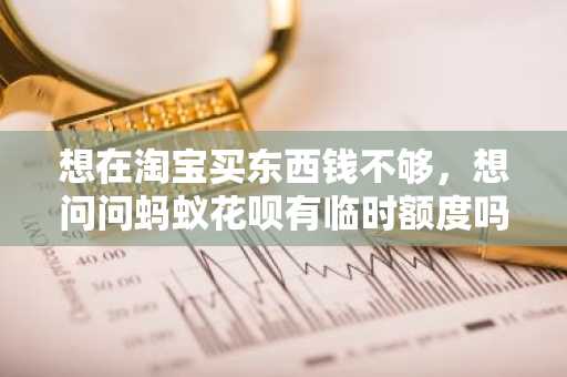 想在淘宝买东西钱不够，想问问蚂蚁花呗有临时额度吗，要怎么提额？