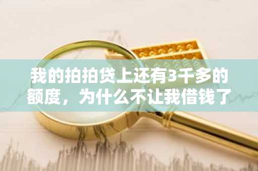 我的拍拍贷上还有3千多的额度，为什么不让我借钱了？