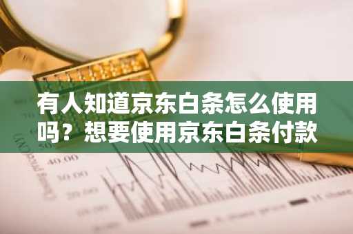 有人知道京东白条怎么使用吗？想要使用京东白条付款。