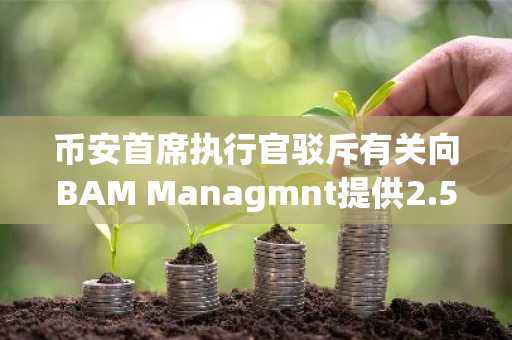 币安首席执行官驳斥有关向BAM Managmnt提供2.5亿美元贷款的报道