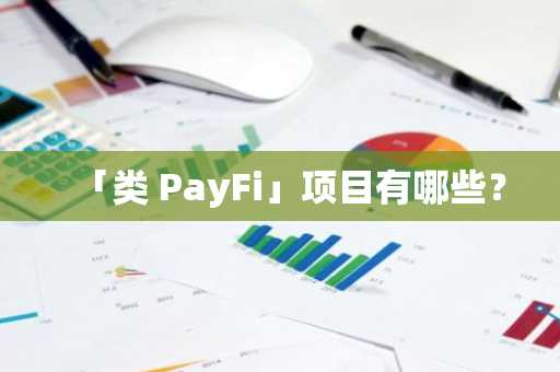 「类 PayFi」项目有哪些？