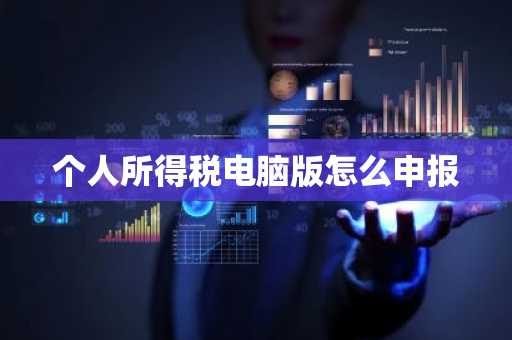 个人所得税电脑版怎么申报