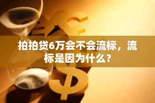 拍拍贷6万会不会流标，流标是因为什么？
