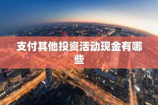 支付其他投资活动现金有哪些