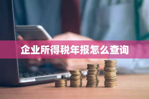 企业所得税年报怎么查询