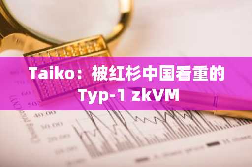 Taiko：被红杉中国看重的 Typ-1 zkVM