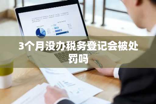 3个月没办税务登记会被处罚吗