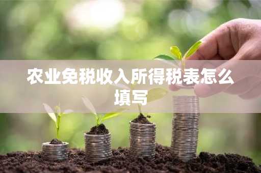农业免税收入所得税表怎么填写