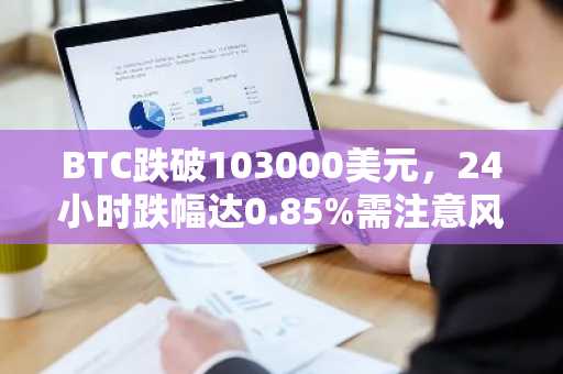BTC跌破103000美元，24小时跌幅达0.85%需注意风险