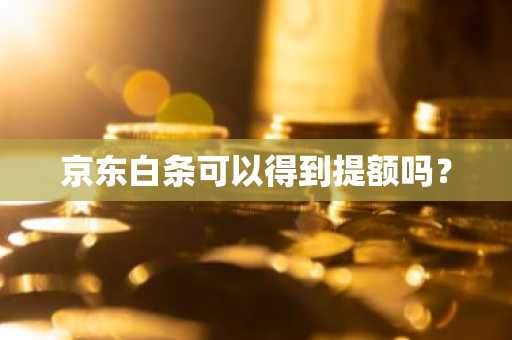 京东白条可以得到提额吗？
