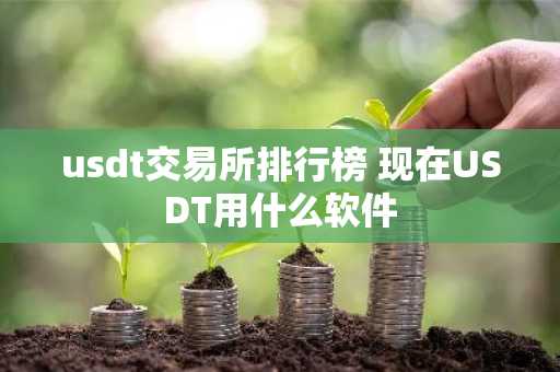 usdt交易所排行榜 现在USDT用什么软件