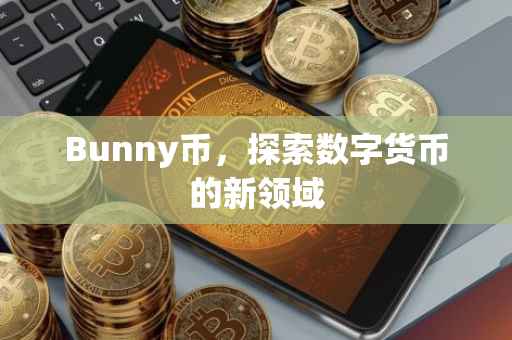 Bunny币，探索数字货币的新领域