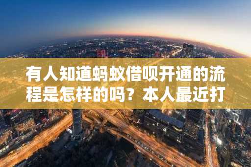 有人知道蚂蚁借呗开通的流程是怎样的吗？本人最近打算申请借呗。